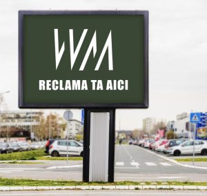 Zega Store SRL, Antoanela Vasilescu și Radu Vasilescu – investigarea fenomenului steagurilor publicitare ilegale din București